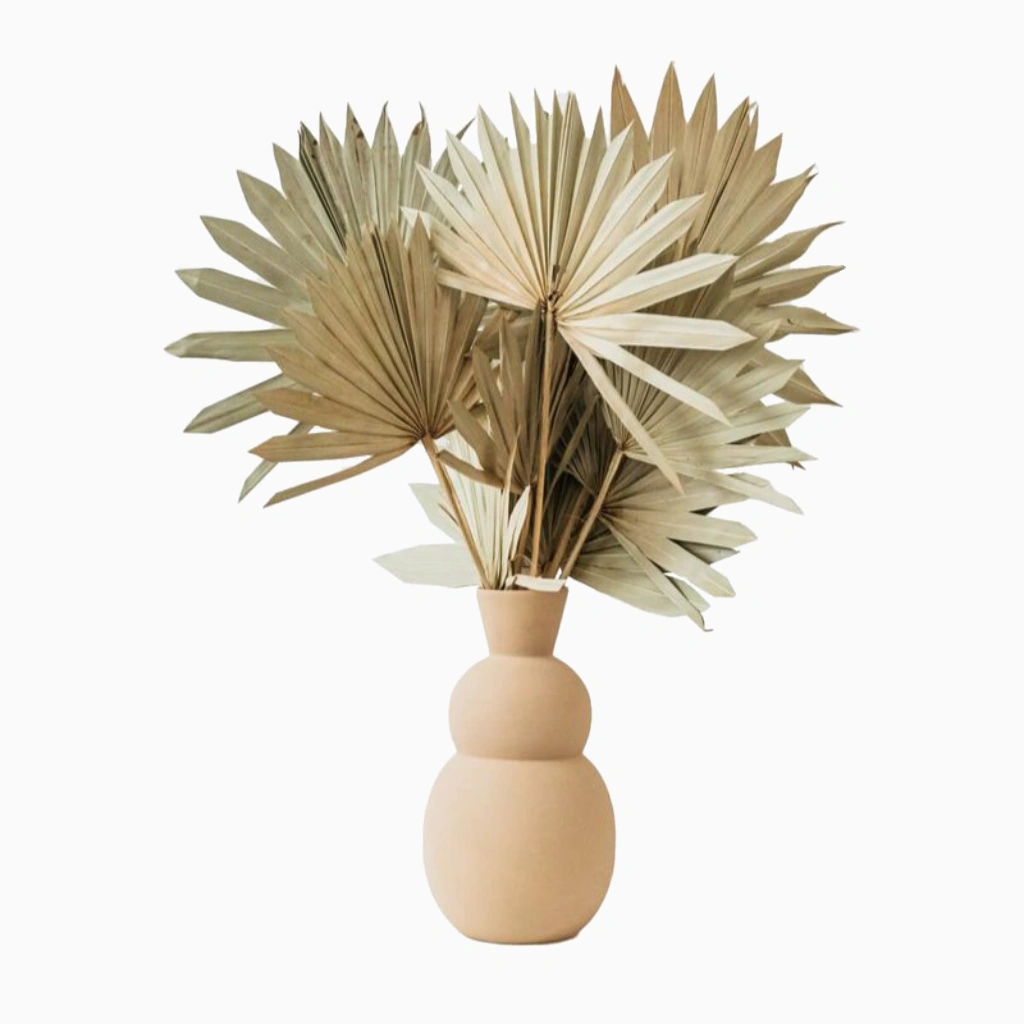 Savana Style Plant
