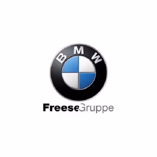 BMW-Logo mit dem Text FreeseGruppe darunter.