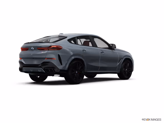 2025 BMW X6