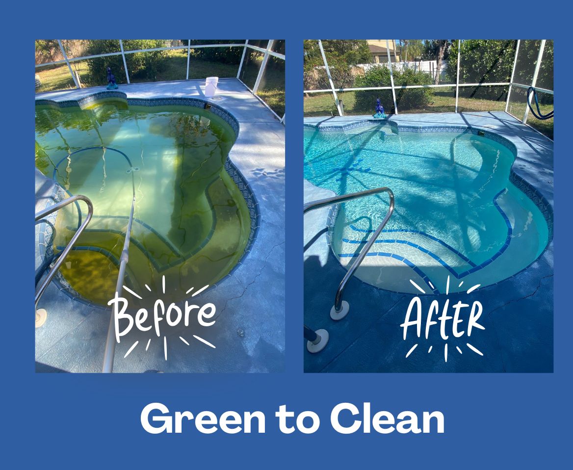green to clean pool service in north port and port charlotte