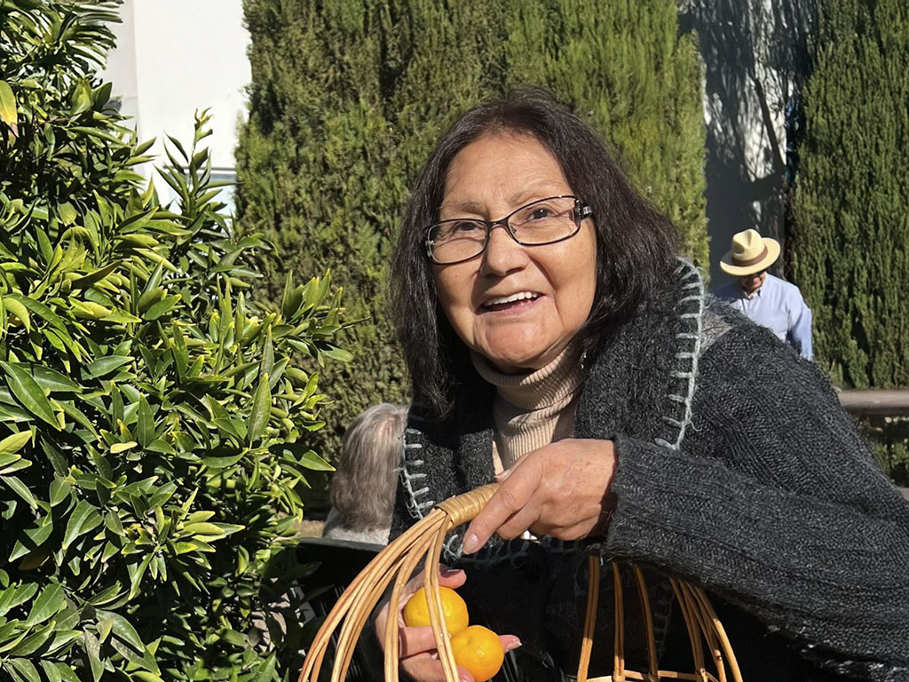 Casa de Reposo vs. Cuidar en Casa: Comparativa de Costos y Seguridad