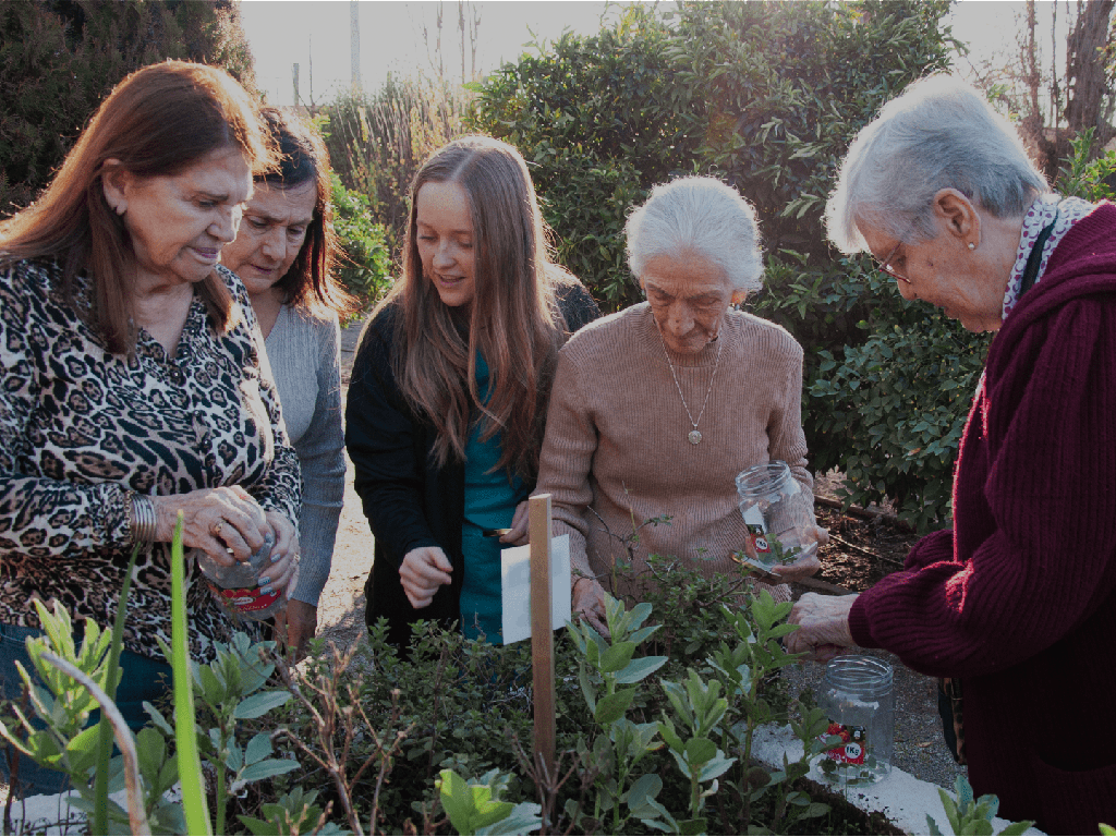 Terapia ocupacional para adultos mayores: qué es y cómo beneficia a tu familiar