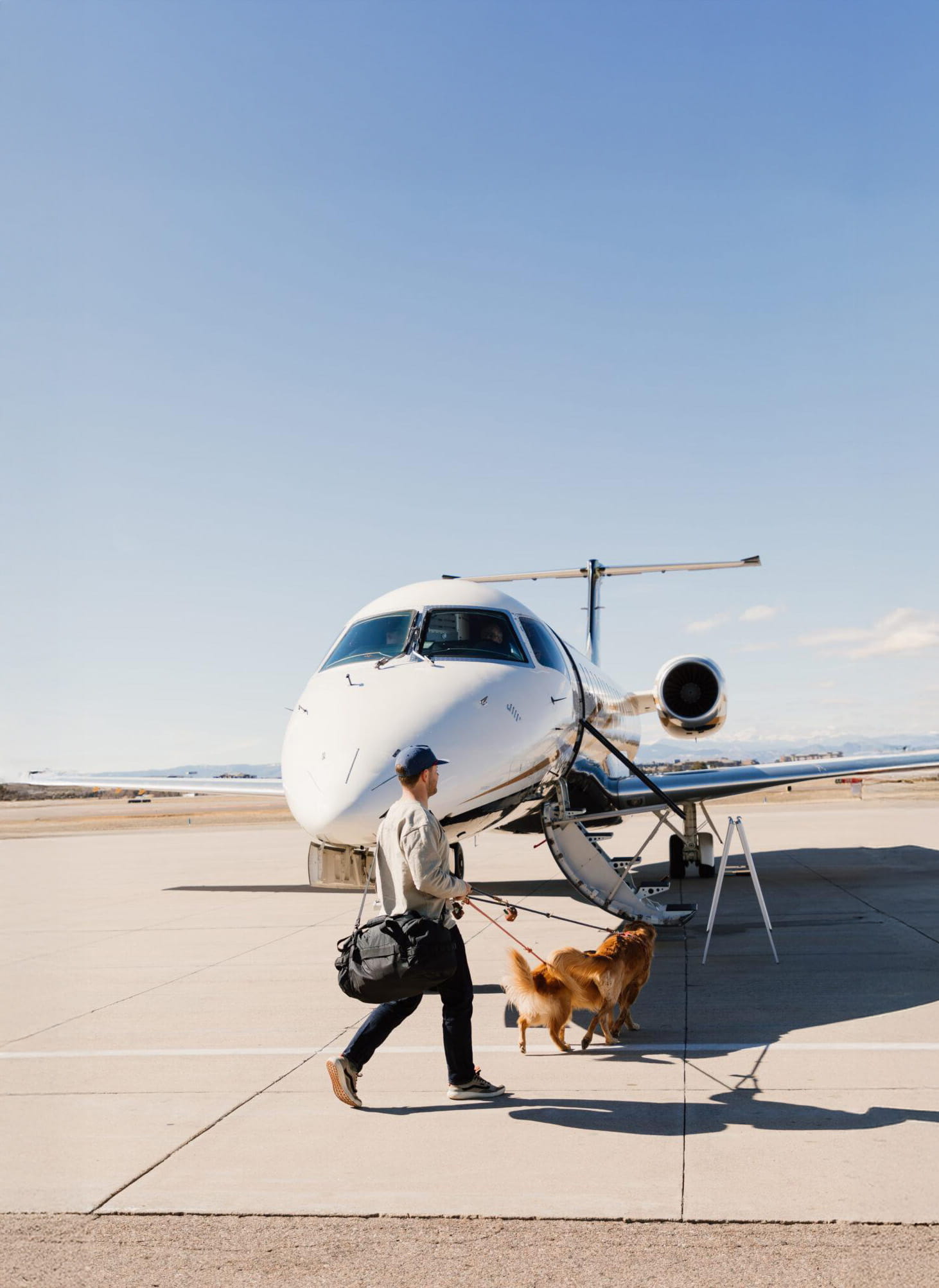 Man walking two golden retrievers towards a private jet on an airport tarmac under clear blue sky.