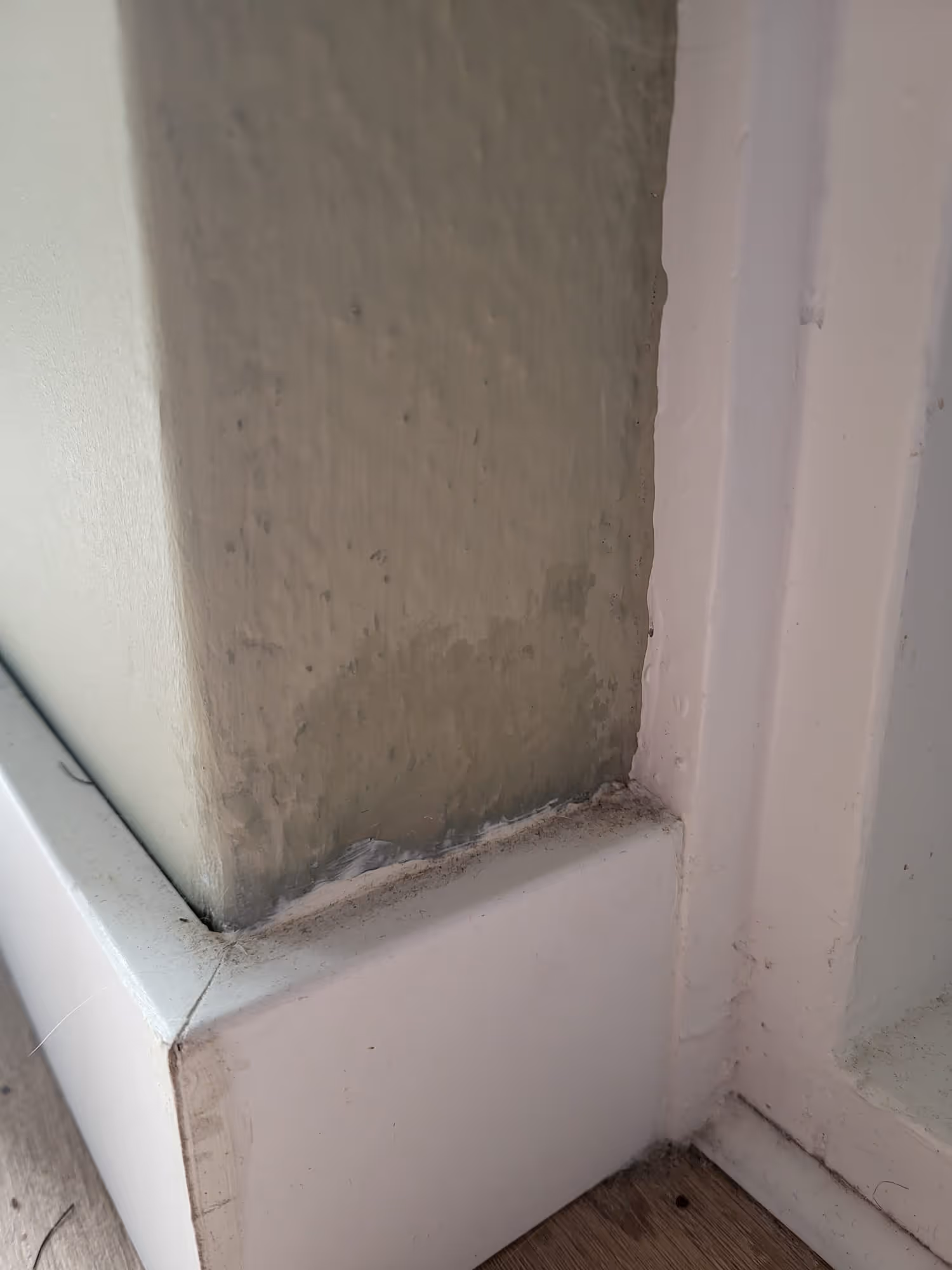 Signs of Mold