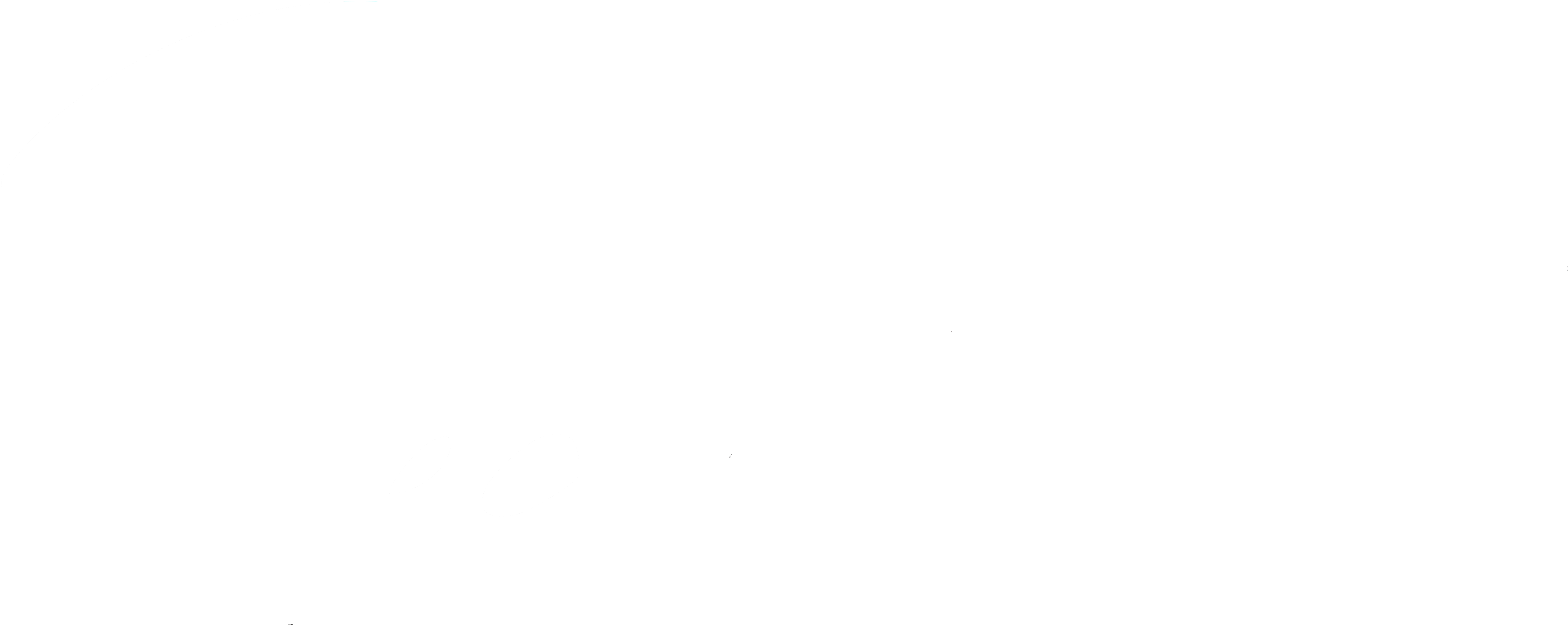 Stylized white signature reading 'Pedram' on a transparent background.