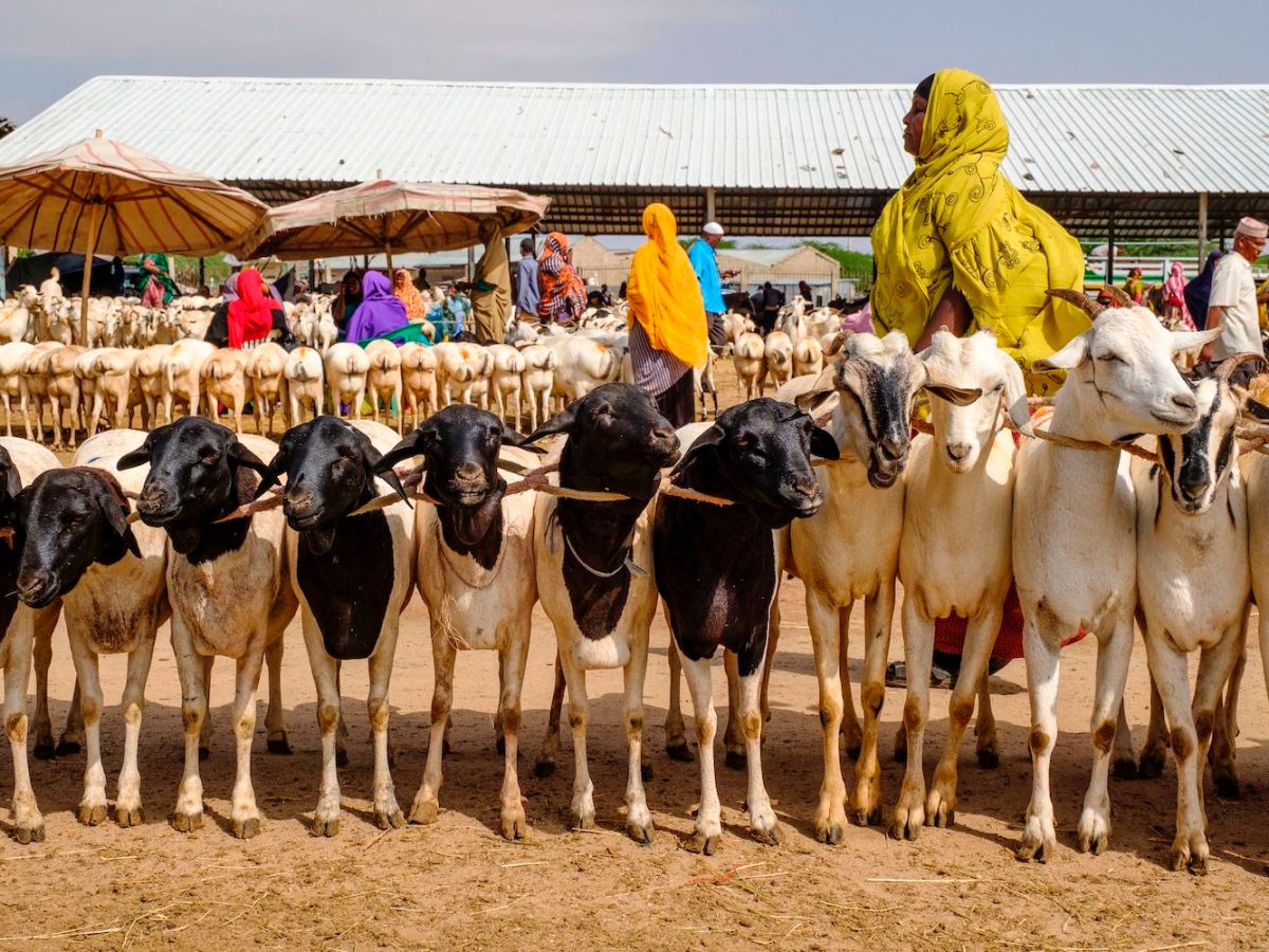 Service Secondary Thumbnail