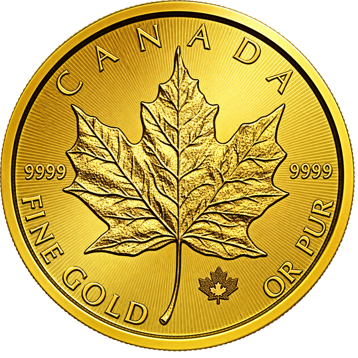 Maple Leaf