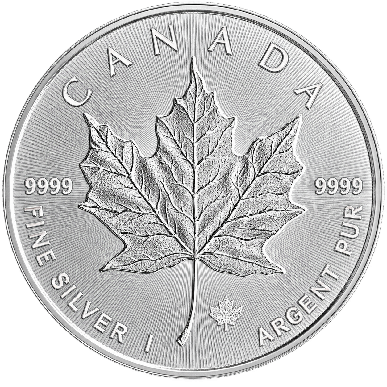 Maple Leaf