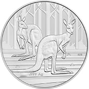 Känguru