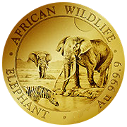Somalia Elefant