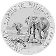 Somalia Elefant