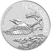 Kookaburra