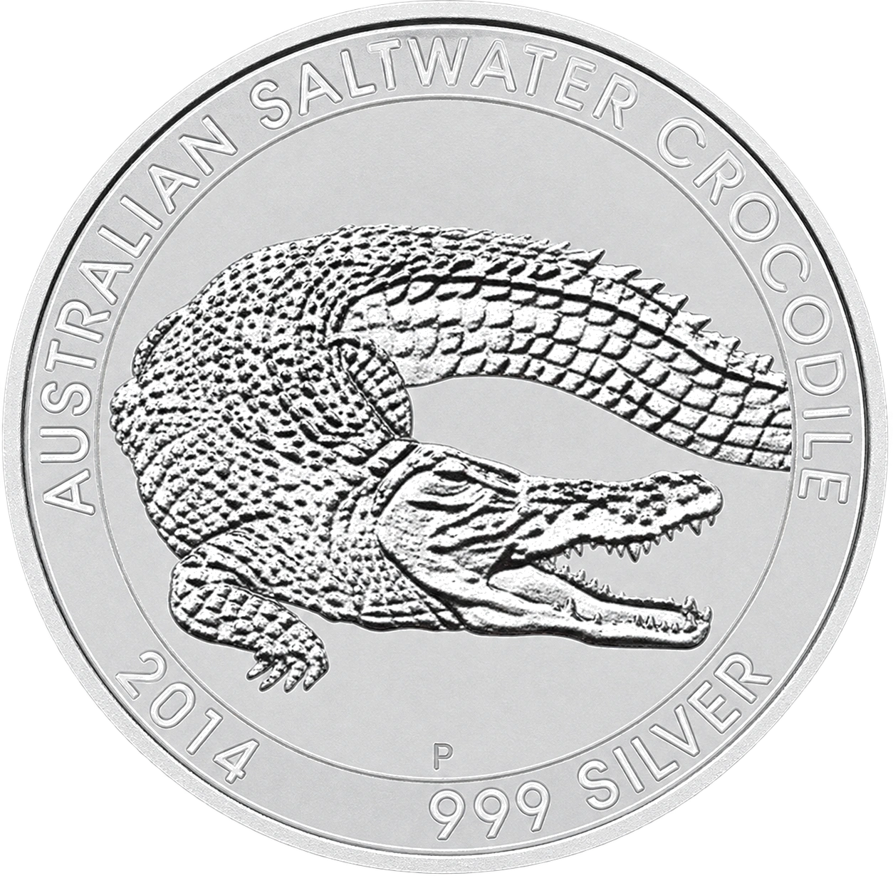 Salzwasser Krokodil (Perth)