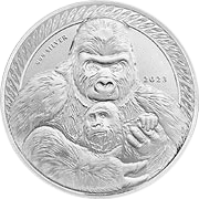 Congo Silverback Gorilla