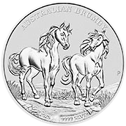 Australian Brumby