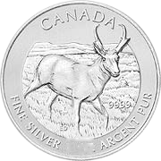 Wildlife Kanada