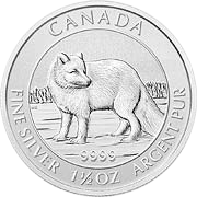 Polarfuchs Kanada