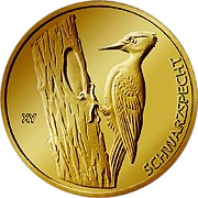 Heimische Vögel
