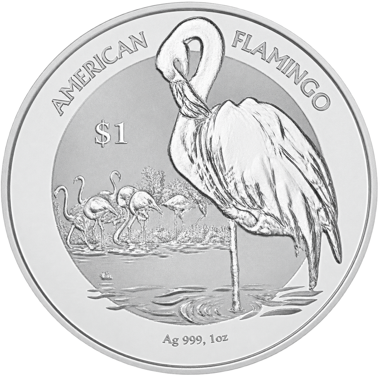Flamingo Virgin Islands