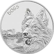 Dogs Fiji
