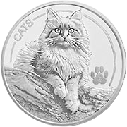 Cats Fiji