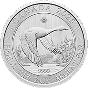 Canada Goose
