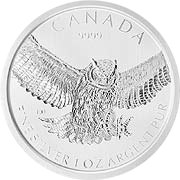 Birds of Prey