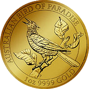 Birds of Paradise