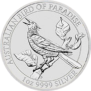 Birds of Paradise