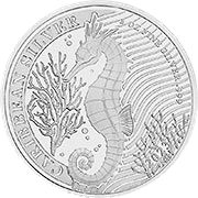Barbados Seepferdchen