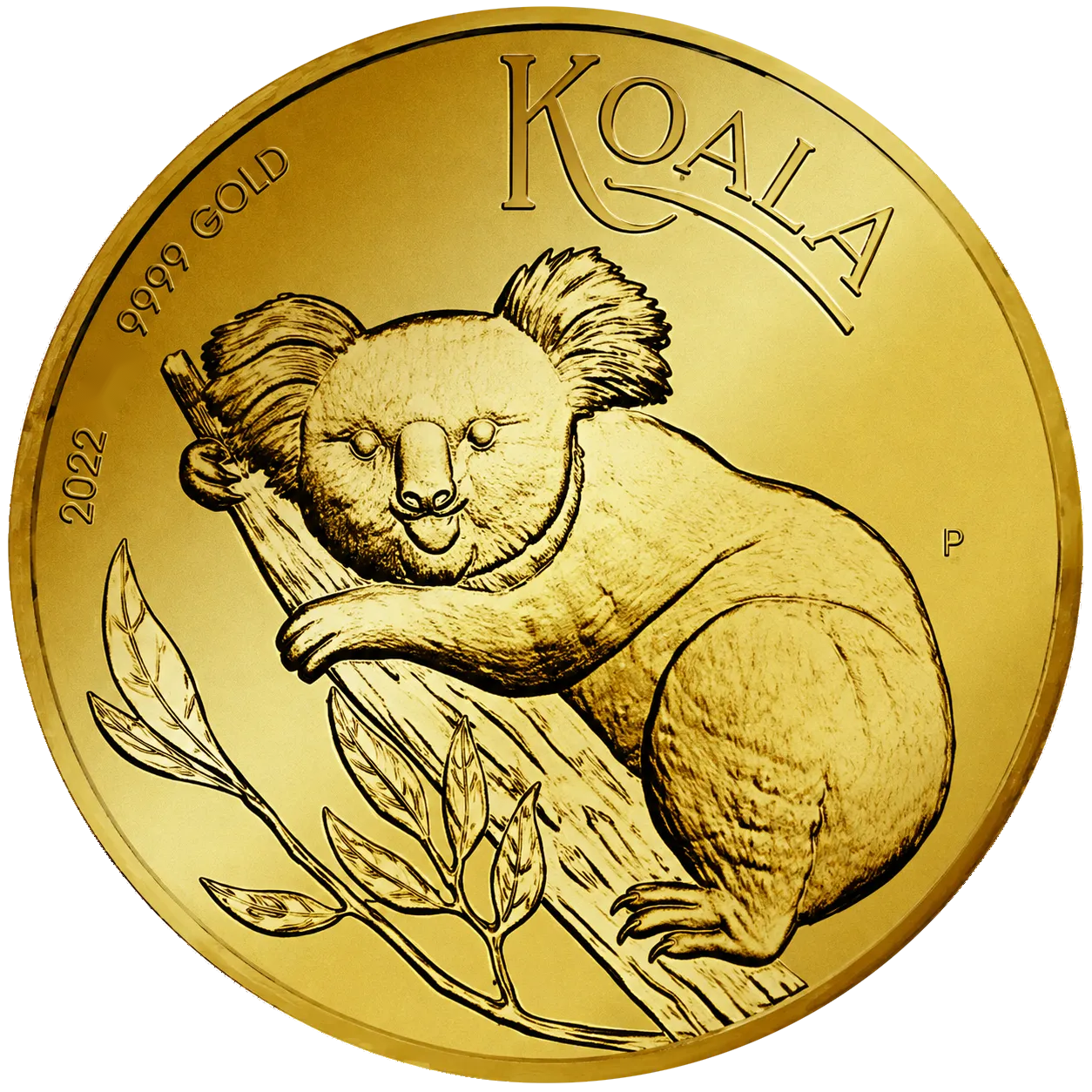Koala