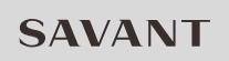 SAVANT logo