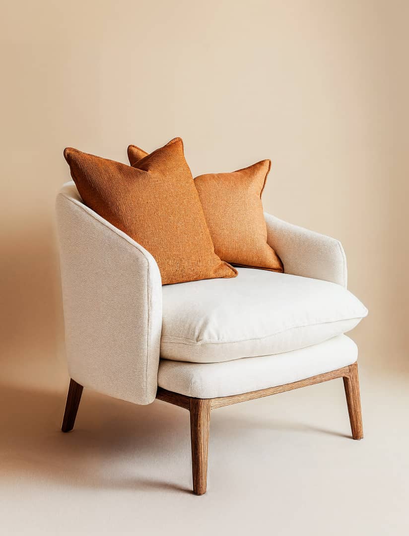 Contemporary Cozy Armchair