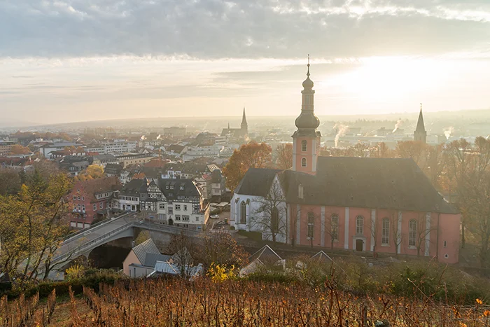 Blick über die historische Altstadt von Bad Kreuznach mit Kirchen und Weinbergen – die Tatortreiniger Spezialisten bieten professionelle Tatortreinigung, Leichenfundortreinigung und Desinfektion mit 24/7-Notdienst in Bad Kreuznach und Umgebung.