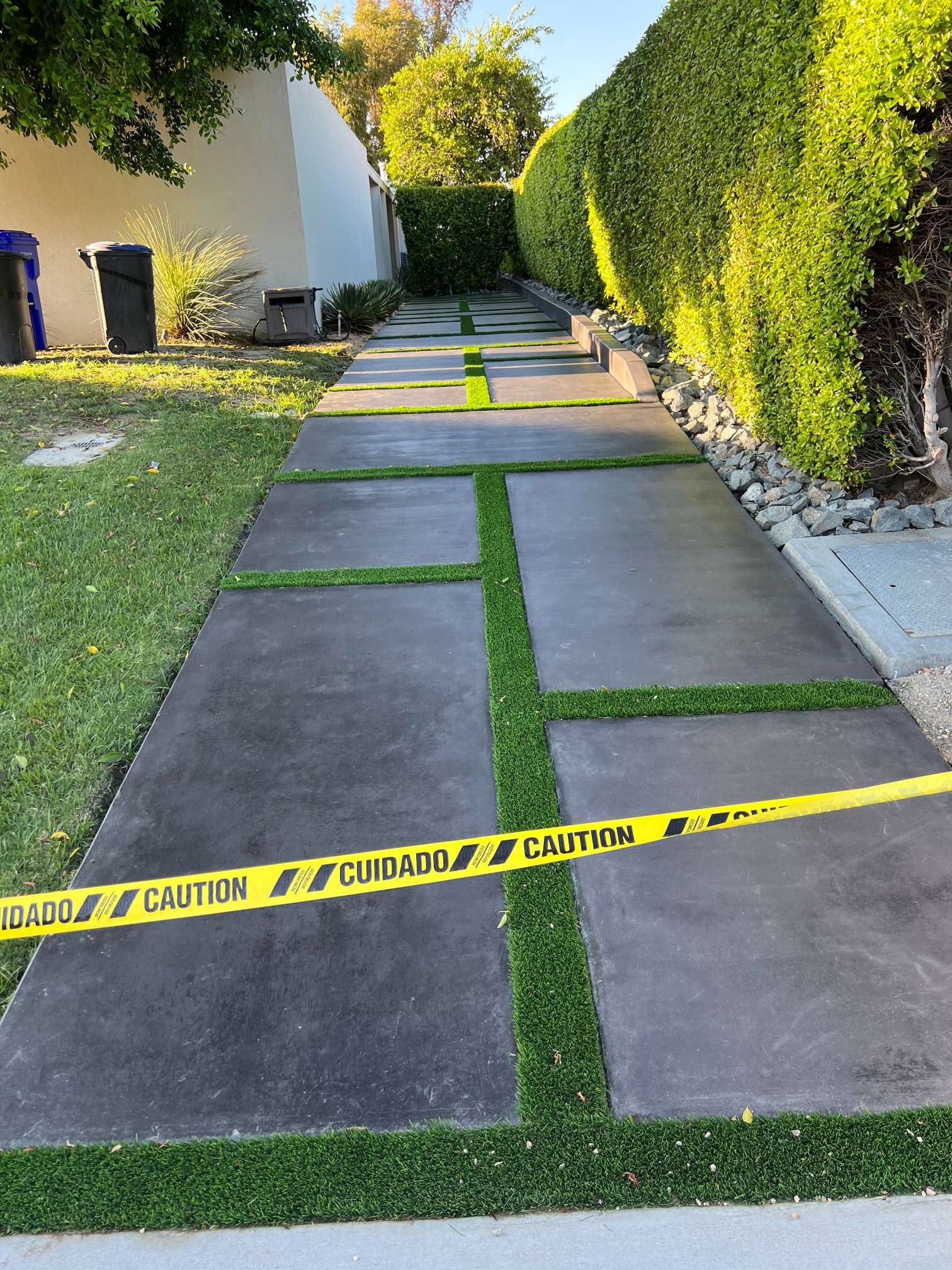Concrete sidewalk with green grass strips lined by a hedge and caution tape across the path.