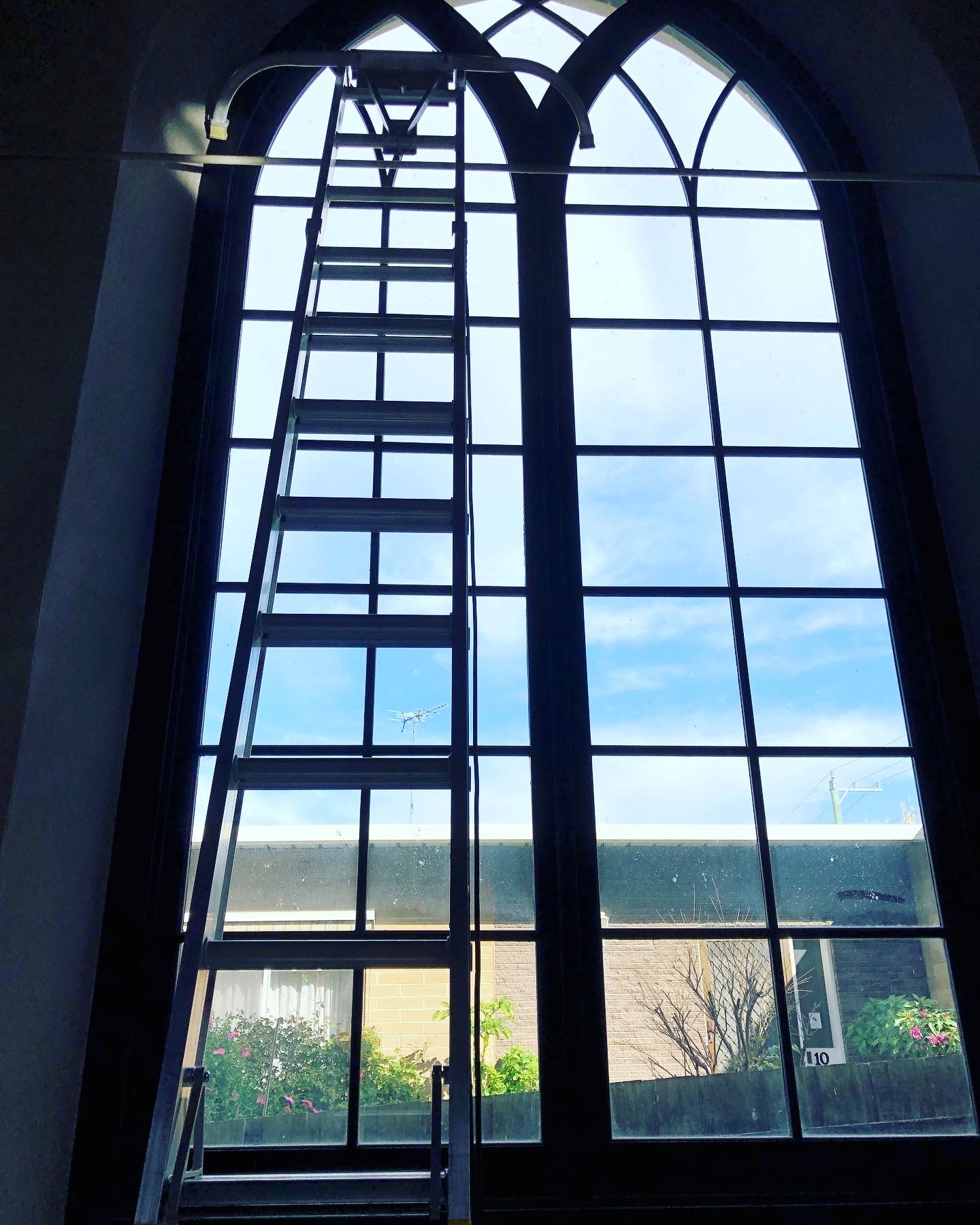 [background image] image of a nature scene visible through office windows (for a personal coach & consultant)