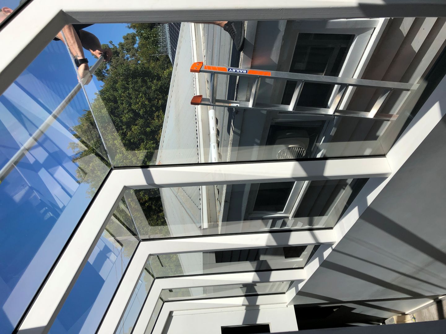 [background image] image of a nature scene visible through office windows (for a personal coach & consultant)