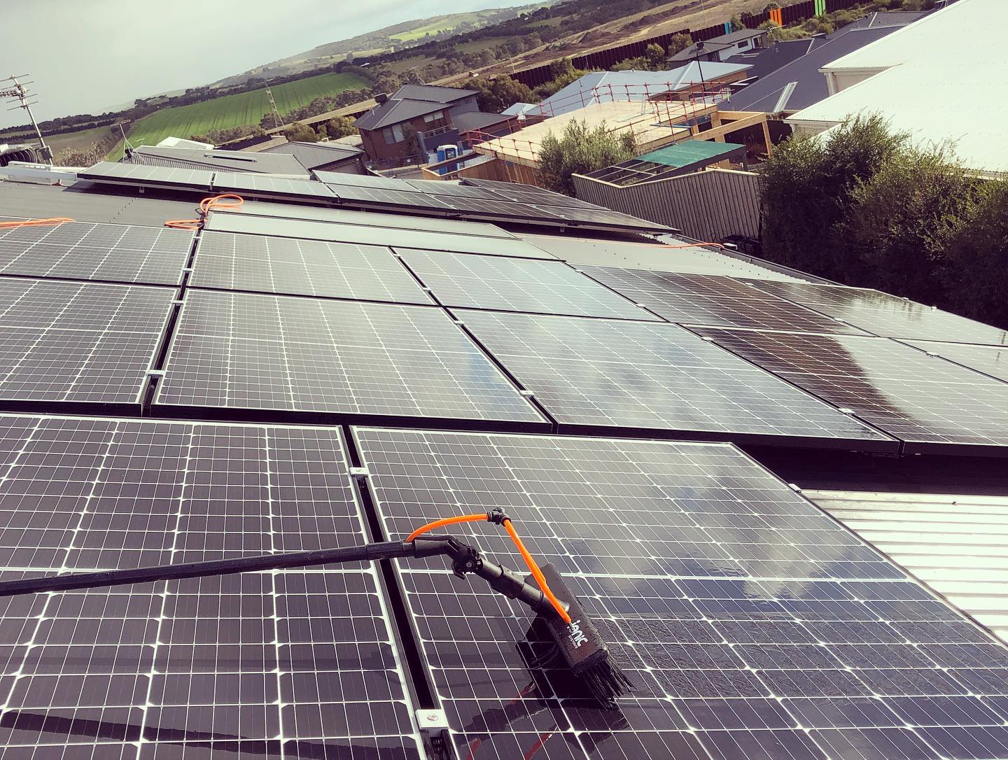 [background image] image of a nature scene visible through office windows (for a personal coach & consultant)