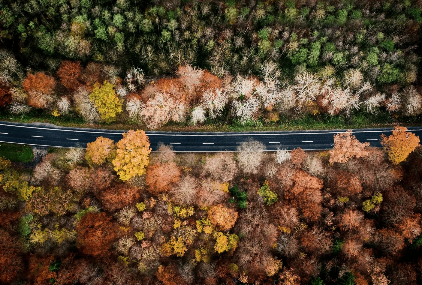 Aerial view of an autumn forest divided by a road symbolizing seasons of change and the journey of technology adoption