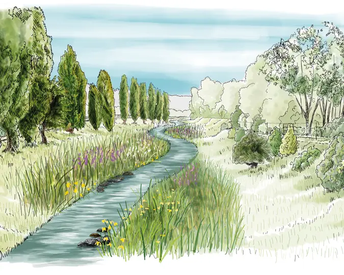 Renaturation de l'YVette à Gif-sur-Yvette
