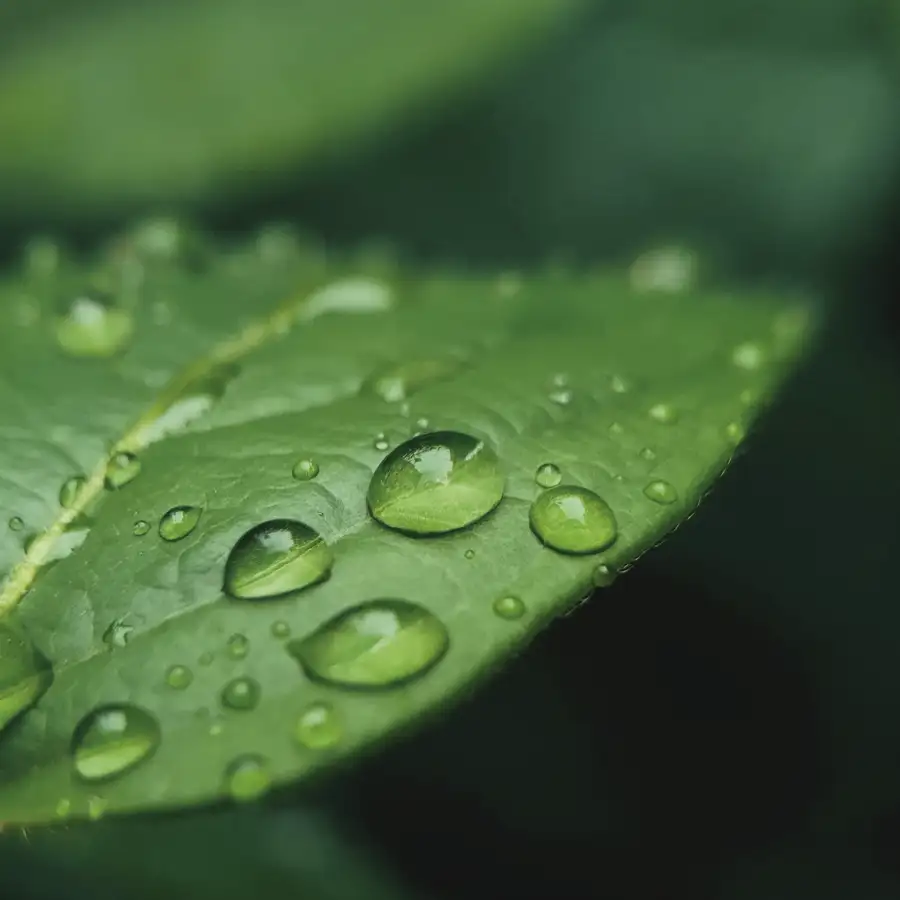 Gif ville résiliente