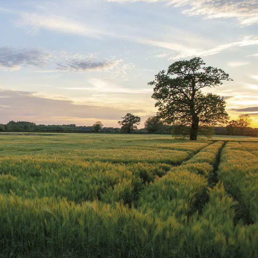 Gif ville nourricière