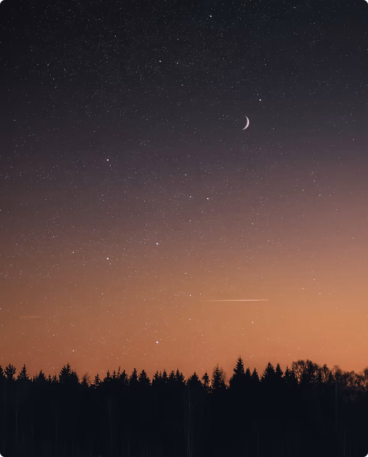Crescent moon and stars in a dusk sky above the dark silhouette of pine trees, with an orange glow on the horizon and a faint meteor streak.