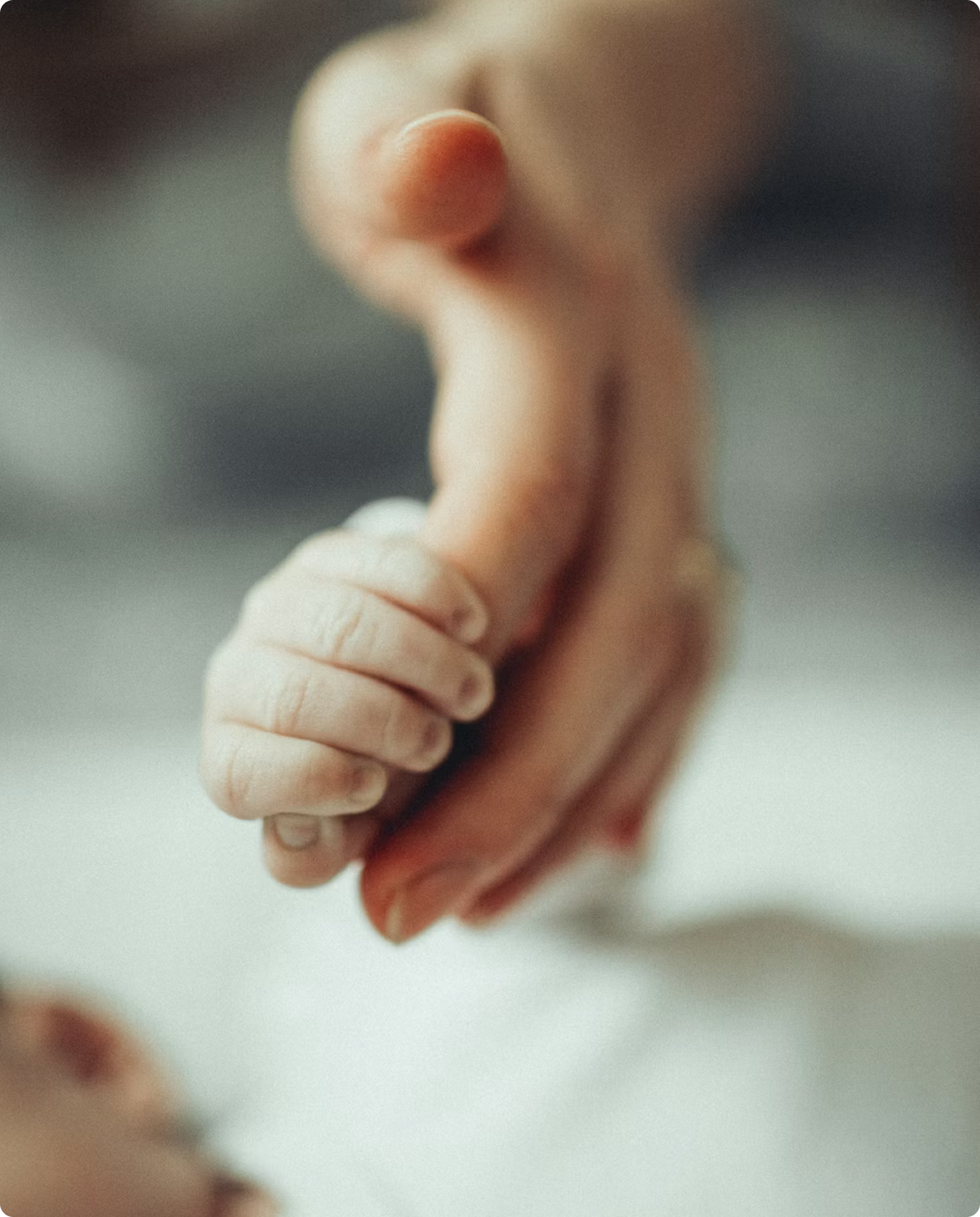 Close-up of a newborn baby's hand gently holding an adult's finger.