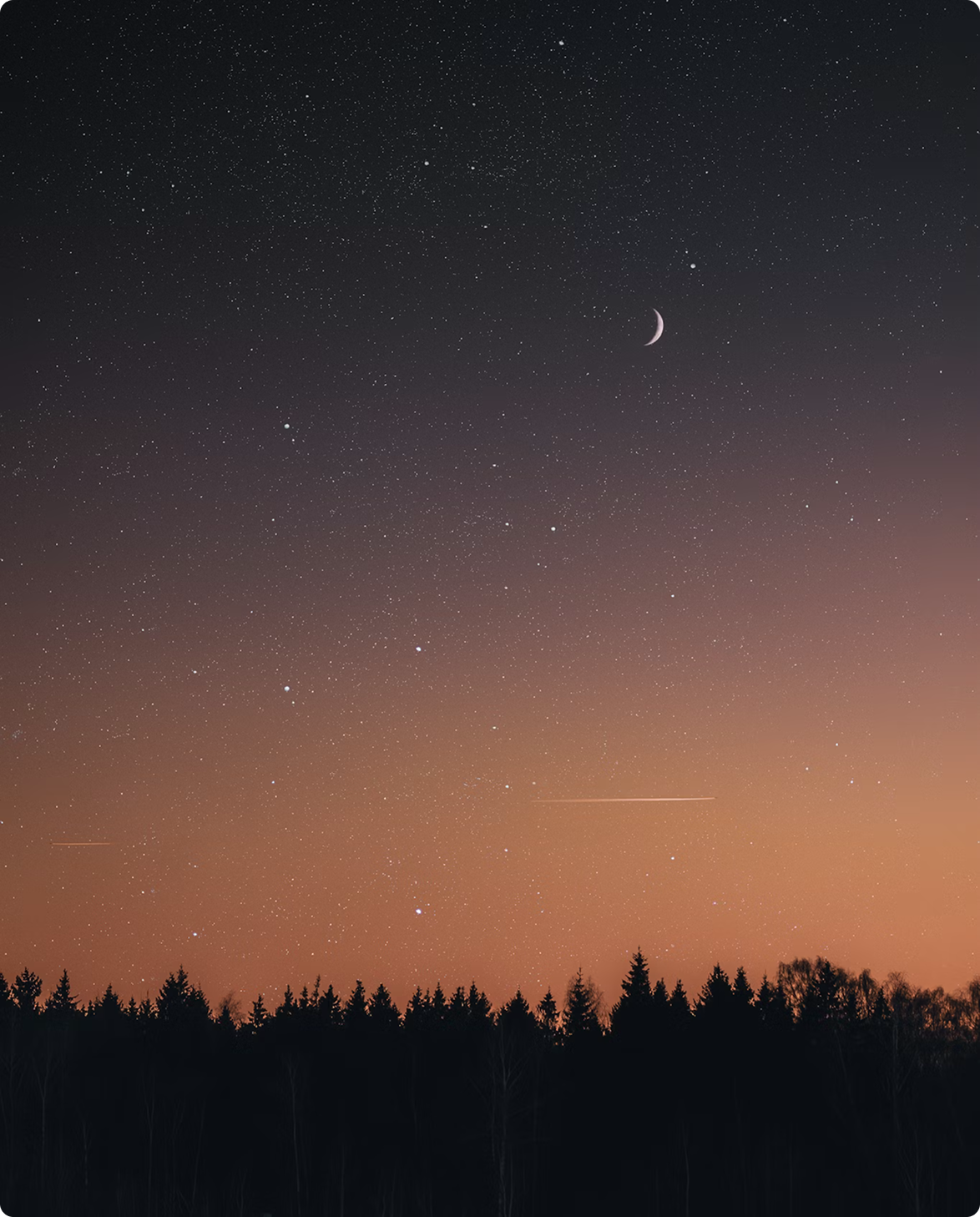 Crescent moon and stars in a dusk sky above the dark silhouette of pine trees, with an orange glow on the horizon and a faint meteor streak.