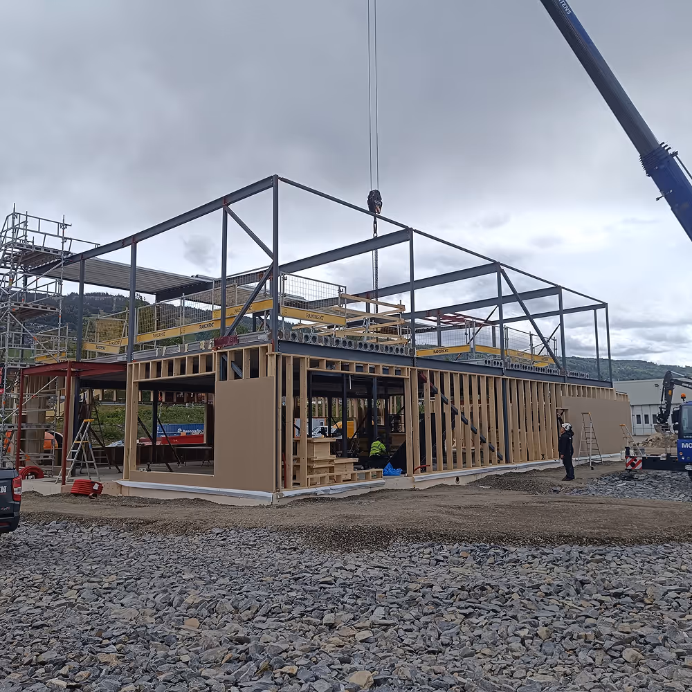 image of a main course assortment for a chinese restaurant
