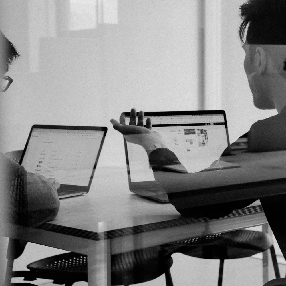 Konzultácia nad existujúcim webom a dátami, znázorňujúca analýzu a rozhodovanie v rámci auditu webu alebo značky.