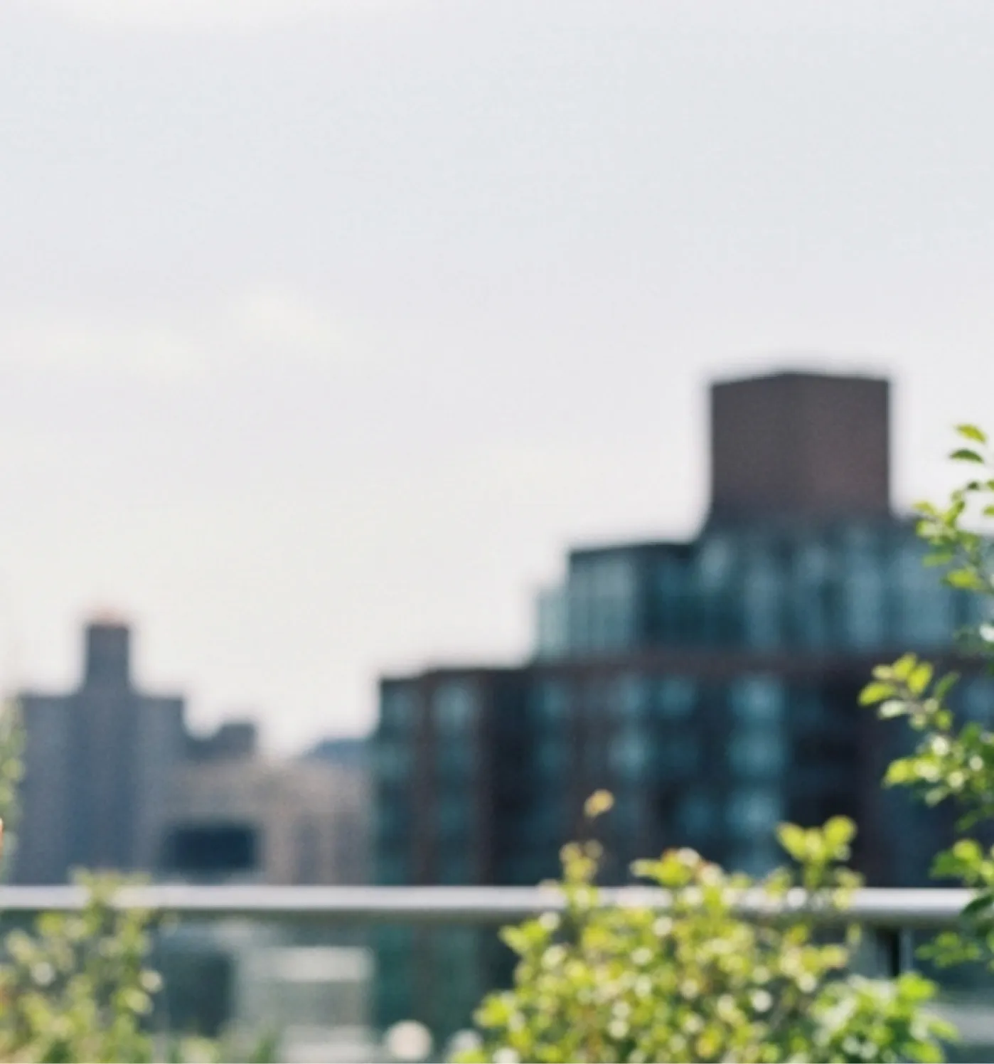 Blurred city skyline with green plants and a clear sky in the foreground.