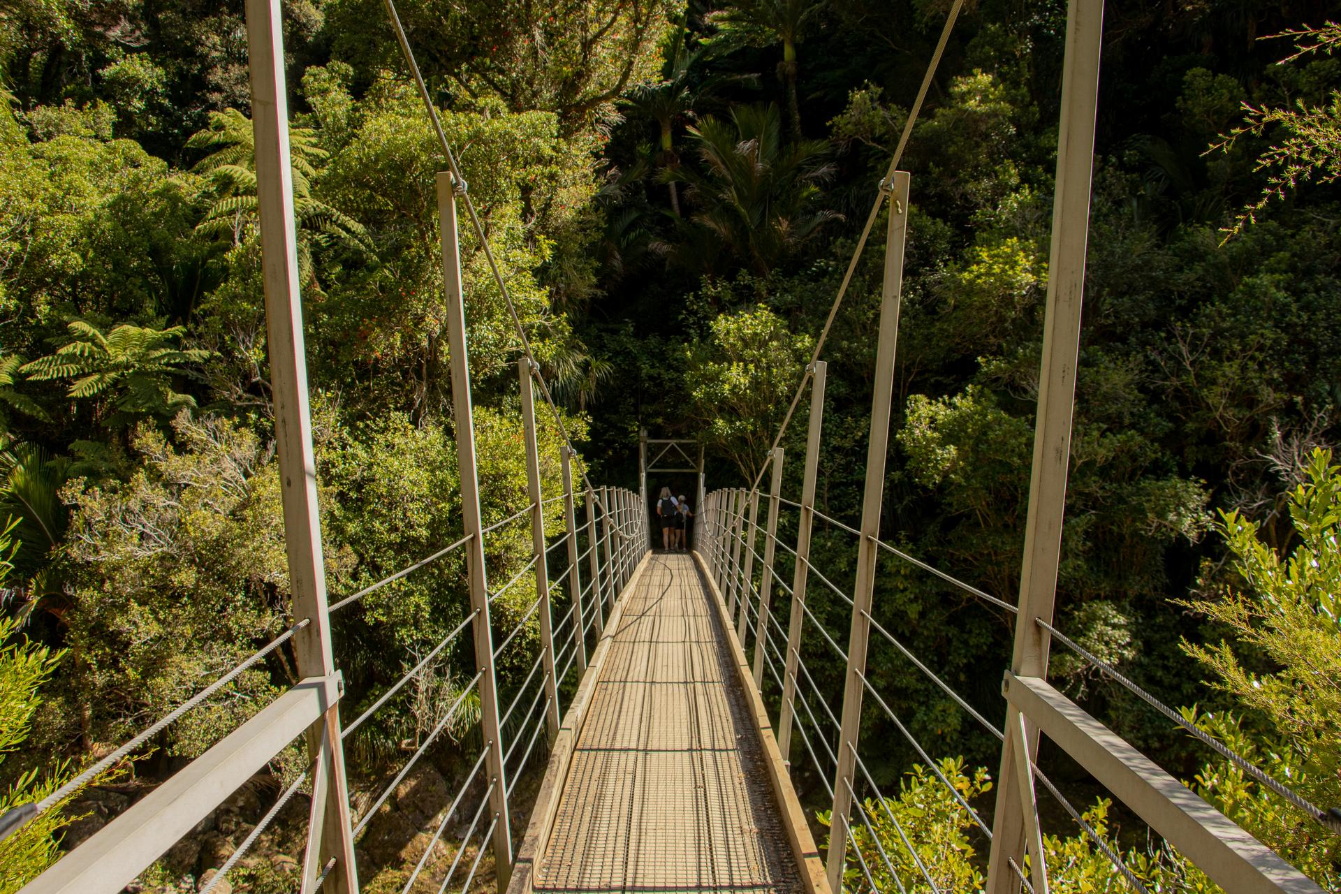 Suspension bridge extending through dense green forest with two people walking away in the distance.
