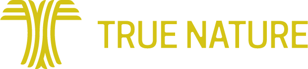 True Nature logo with stylized abstract tree symbol and text.